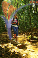 Jungle Tracking
