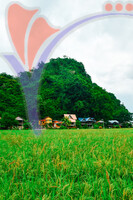 Kampung Ujung Bukit , Perlis