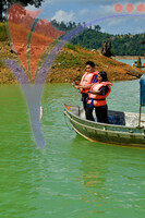 Tasik Pedu