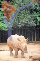 Melaka Zoo