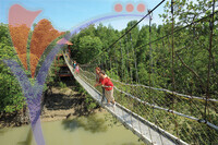 Pulau Kukup