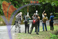 Fraser's Hill International Bird Race