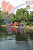 Kuala Koh
