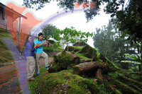Bukit Larut - Taiping - Perak