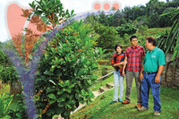 Fruit Farm