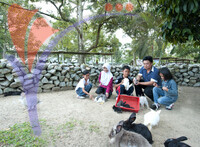Rabbit Farm