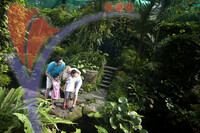 Kuala Lumpur Bird Park - Kuala Lumpur
