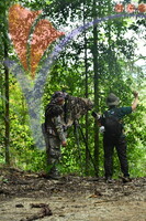 Fraser's Hill International Bird Race