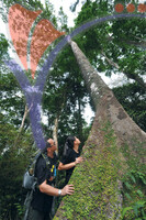Kuala Koh