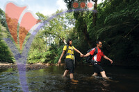 Kuala Koh