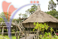 Sarawak Cultural Village