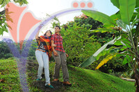 Fruit Farm