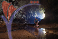 Mulu Deer Caves, Sarawak