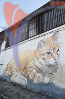 Street Art - Penang