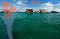 Semporna Island