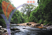 Kelah Santuary