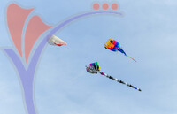 Kelantan International Kite Festival