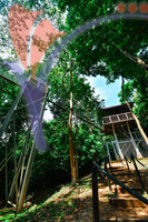 Canopy Walk Guar Chenderai , Perlis