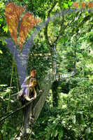 Mulu Canopy Walk, Sarawak