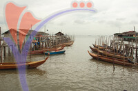 Tanjung Piai National Park - Johor