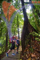 Bukit Nanas - Kuala Lumpur