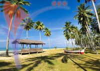 Pantai Penarik, Setiu