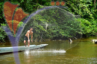 Mulu Fishing Net Casting, Sarawak