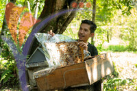 Madu Kelulut Ulu Legong