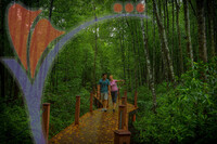 Matang Mangrove