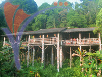 Longhouse