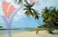 Pulau Sibu
