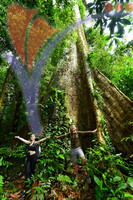 Mulu National Park
