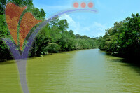 Similajau National Park - Sarawak