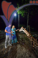 Night Safari Zoo Taiping , Perak