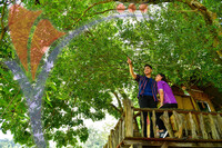 Tasik Pedu