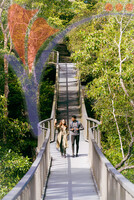 The Habitat