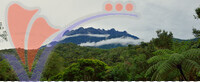 Kinabalu Park