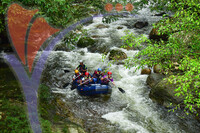 Sungai Sedim Water Rafting