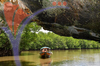 Kilim River Mangrove Tour, Langkawi, Kedah