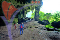 Niah Cave - Sarawak