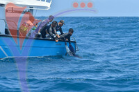 The Royal Pahang Billfish International Challenge