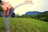 Kinabalu Park