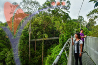 Sungai Sedim - Kedah