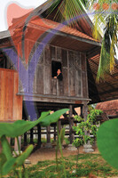 Rumah Seratus Tahun