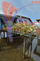 Patau - Patau Homestay