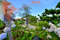 The Jerai Hill