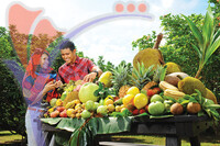 Fruit Farm