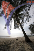 Morib Beach
