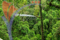 Sungai Sedim - Kedah