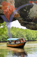 Kilim River Mangrove Tour, Langkawi, Kedah